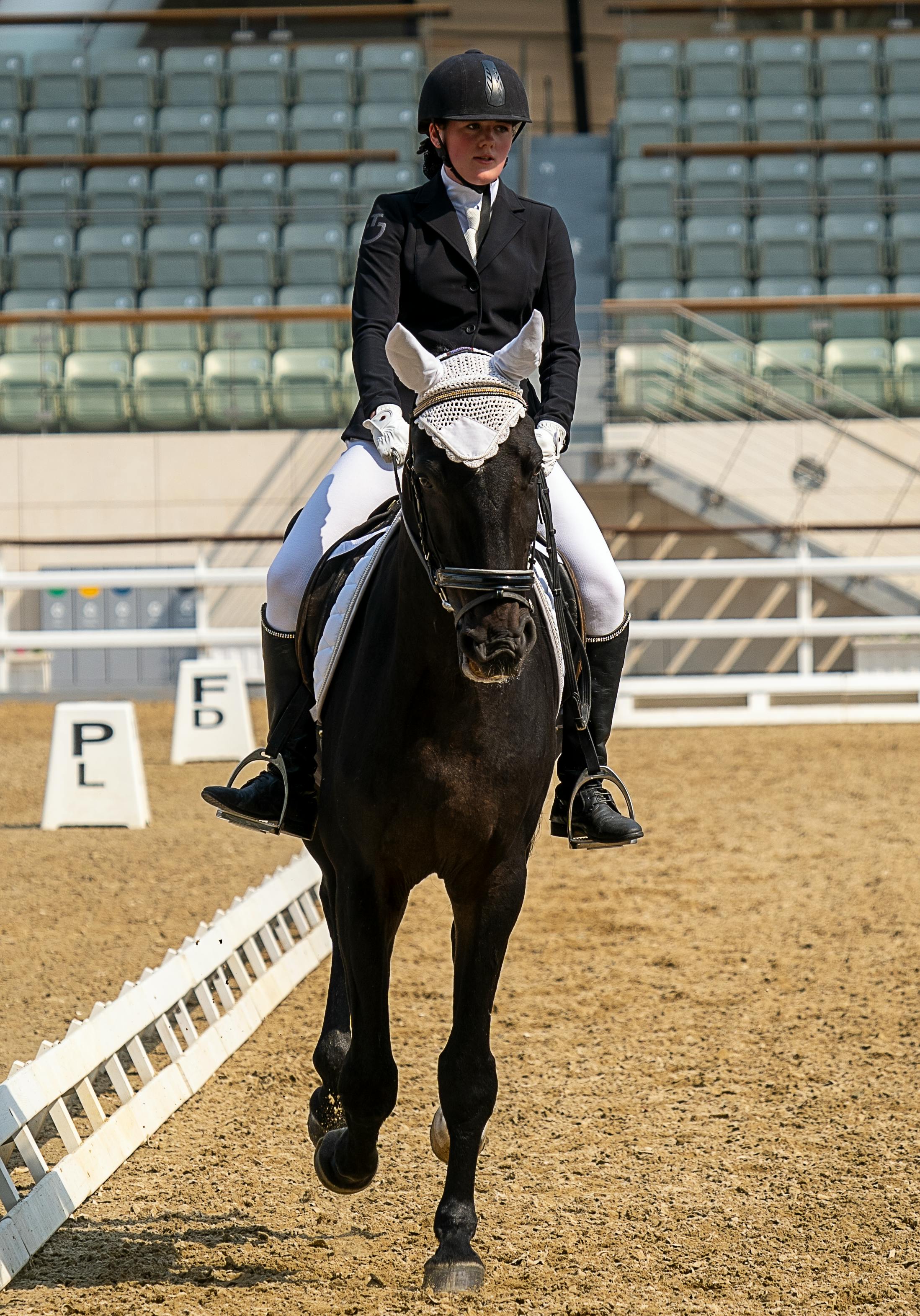 Dressage